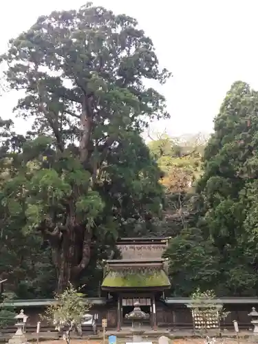 若狭姫神社（若狭彦神社下社）の建物その他