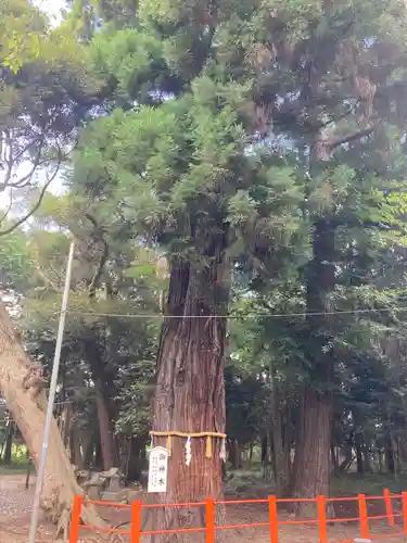 息栖神社(茨城県)