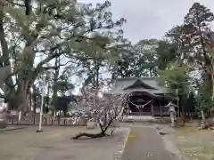 南方神社(宮崎県)