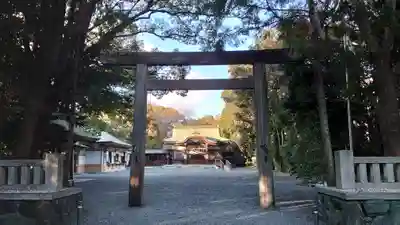 氷上姉子神社(熱田神宮摂社)の鳥居