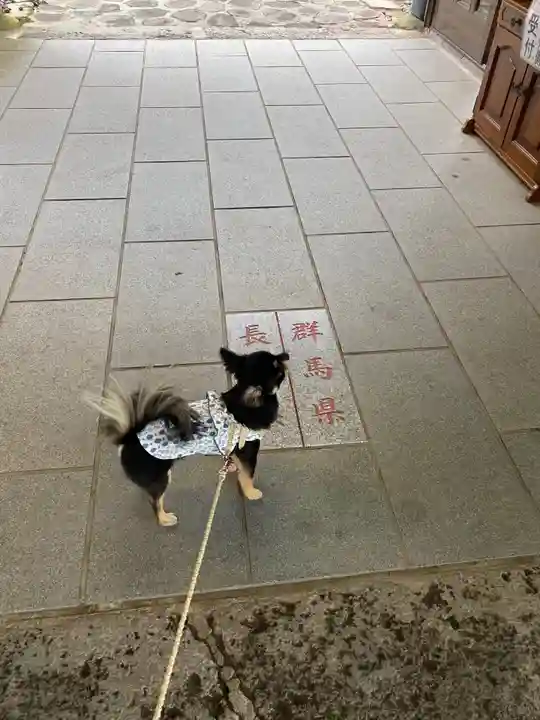 熊野皇大神社の動物