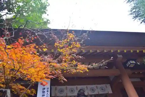 東京大神宮(東京都)
