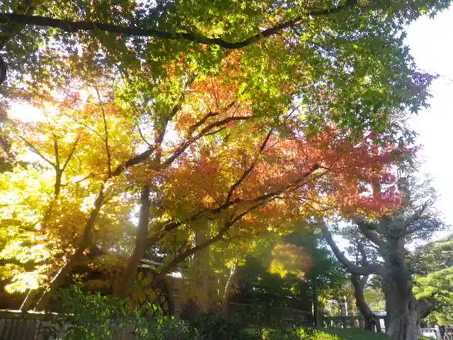 鶴岡八幡宮の動物