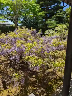長慶院(京都府)