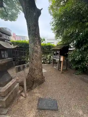 堀越神社(大阪府)