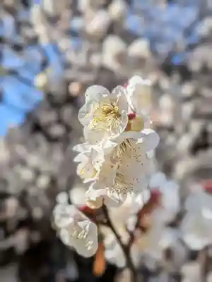 福蔵院(東京都)