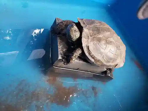 下谷神社(東京都)