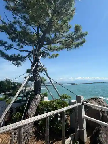 海津見神社（桂浜龍王宮）(高知県)
