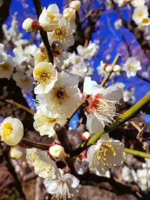 瑞円寺(東京都)