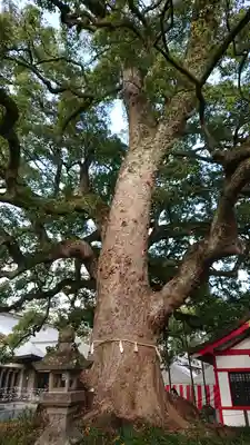 春日神社のその他建物