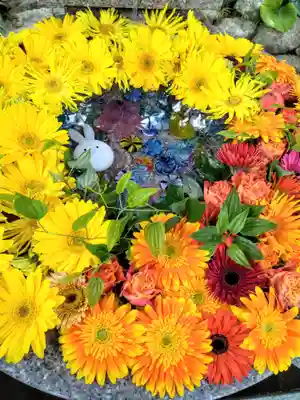 白山神社(新潟県)