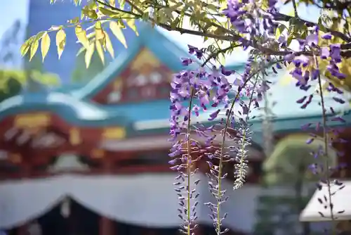 日枝神社の自然