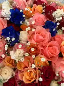 彌都加伎神社(三重県)(2021年04月10日(土) 13時29分44秒投稿)