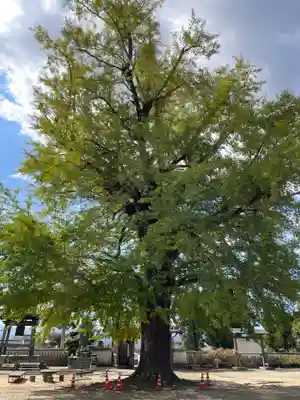 地蔵寺(徳島県)