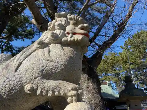 平塚三嶋神社の狛犬