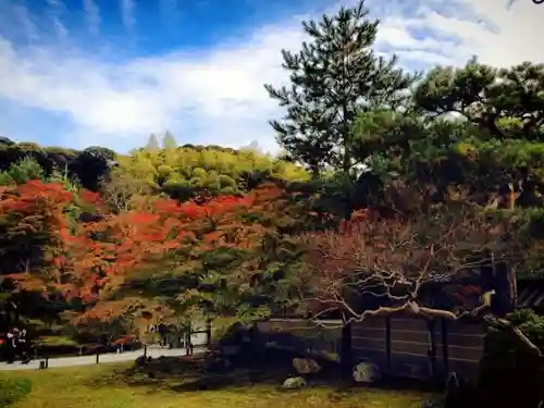 高台寺（高台寿聖禅寺・高臺寺）の庭園