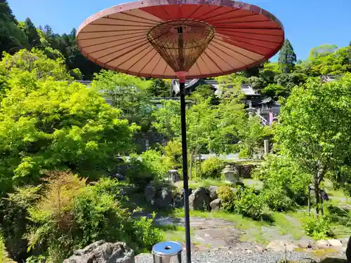 柳谷観音　楊谷寺の庭園