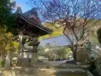 高照寺の{uncategorized: "未分類", other: "その他", undefined: "問題あり", building: "その他建物", grave: "お墓", sacred_gate: "鳥居", guardian: "狛犬", statue: "像", buddha: "仏像", history: "歴史", nature: "自然", garden: "庭園", animal: "動物", pagoda: "塔", temizu: "手水舎", mountain_gate: "山門・神門", sanctuary: "本殿・本堂", subordinate: "末社・摂社", art: "芸術", scenery: "景色", jizo: "地蔵", ema: "絵馬", goshuin: "御朱印", omikuji: "おみくじ", items: "授与品その他", amulet: "お守り", goshuincho: "御朱印帳", eats: "食事", festival: "お祭り", votive_dance: "神楽", shichigosan: "七五三参", wedding: "結婚式", experience: "体験その他", initially: "初詣", around: "周辺", anti_infection: "感染症対策"}