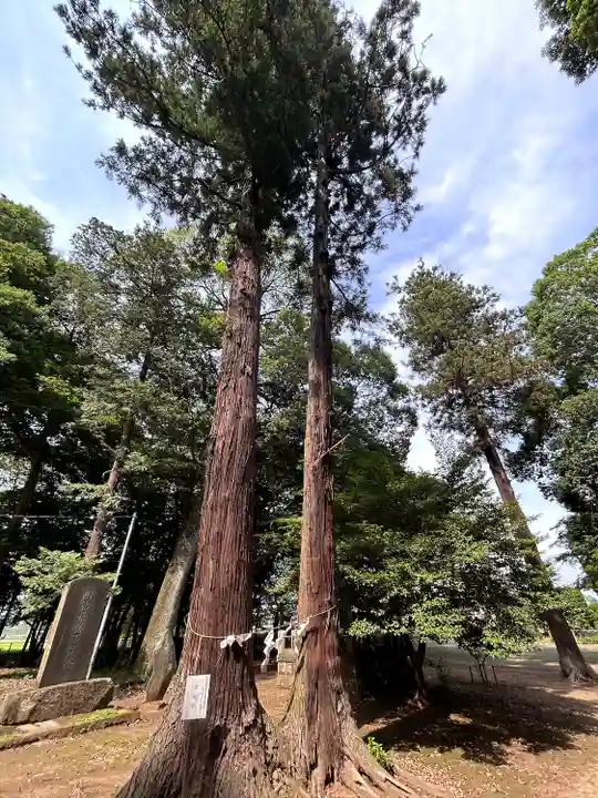 東蕗田天満社の自然