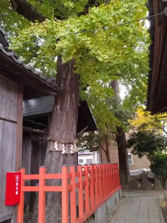 舞台八幡神社(宮城県)