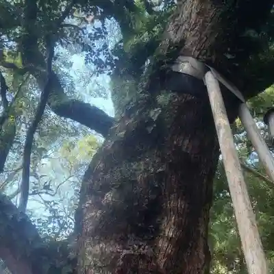 伊勢豊受稲荷神社(三重県)