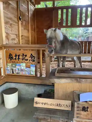 平塚八幡宮の動物