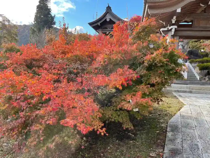 信濃比叡廣拯院の自然