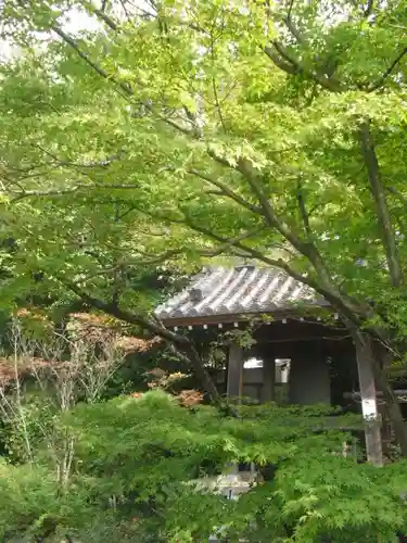 浄光明寺の庭園