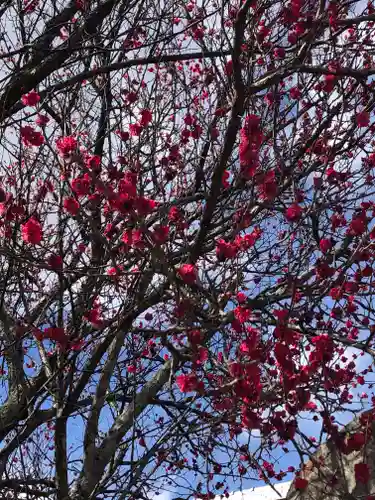 境香取神社の自然