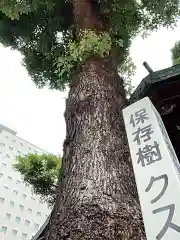 金山神社の自然