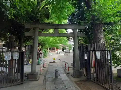 荻窪白山神社(東京都)