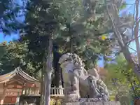 高賀神社(岐阜県)