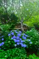 佛日庵(神奈川県)