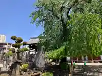 長明寺の{uncategorized: "未分類", other: "その他", undefined: "問題あり", building: "その他建物", grave: "お墓", sacred_gate: "鳥居", guardian: "狛犬", statue: "像", buddha: "仏像", history: "歴史", nature: "自然", garden: "庭園", animal: "動物", pagoda: "塔", temizu: "手水舎", mountain_gate: "山門・神門", sanctuary: "本殿・本堂", subordinate: "末社・摂社", art: "芸術", scenery: "景色", jizo: "地蔵", ema: "絵馬", goshuin: "御朱印", omikuji: "おみくじ", items: "授与品その他", amulet: "お守り", goshuincho: "御朱印帳", eats: "食事", festival: "お祭り", votive_dance: "神楽", shichigosan: "七五三参", wedding: "結婚式", experience: "体験その他", initially: "初詣", around: "周辺", anti_infection: "感染症対策"}