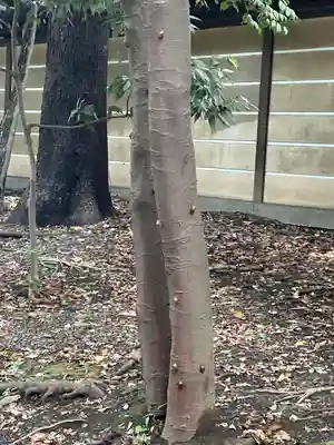 靖國神社(東京都)