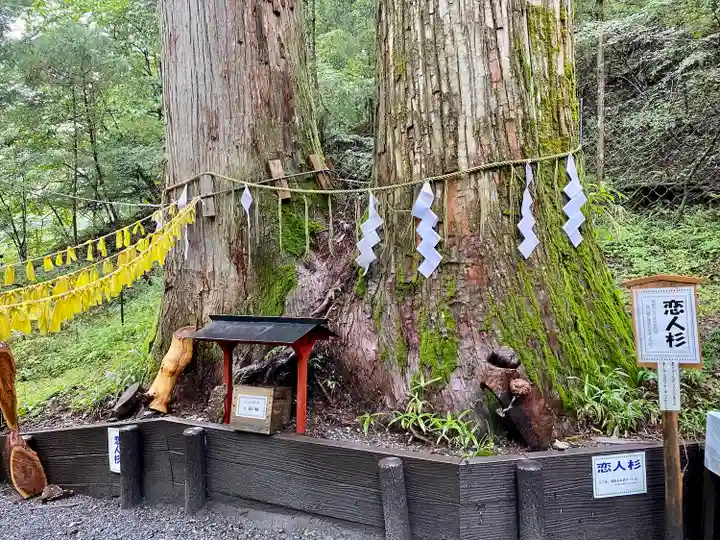 日光二荒山神社の自然