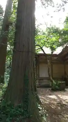 鹿島神社のその他建物