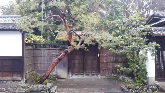 南禅寺の建物その他