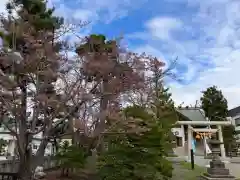 烈々布神社(北海道)