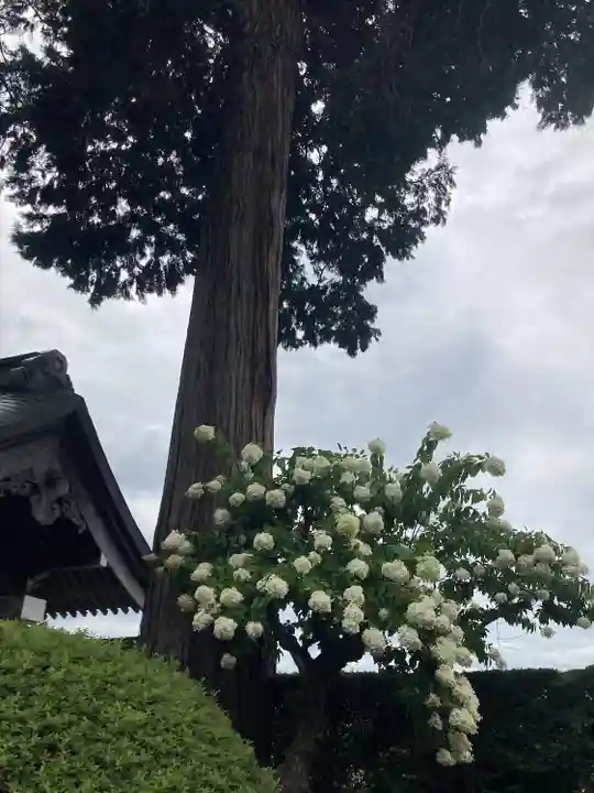 弘長寺(長野県)