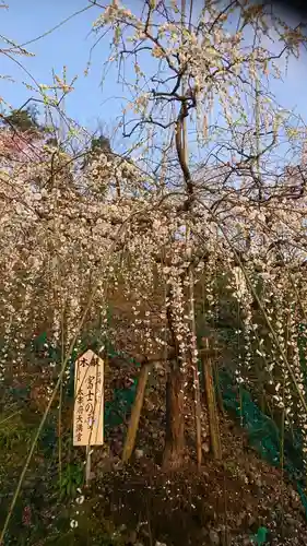 大縣神社の庭園