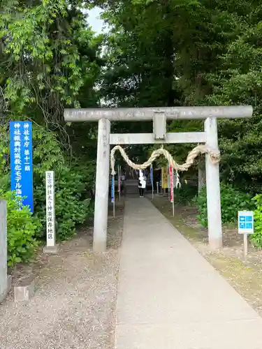 下野 星宮神社(栃木県)