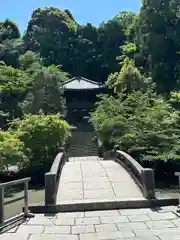 知恩院(京都府)