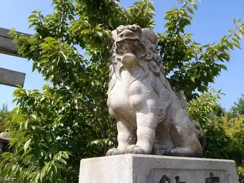 海椙神社の狛犬