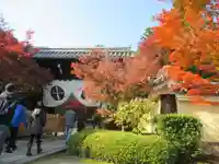 光明寺(粟生光明寺)のその他建物