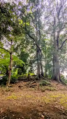 七百餘所神社 の歴史
