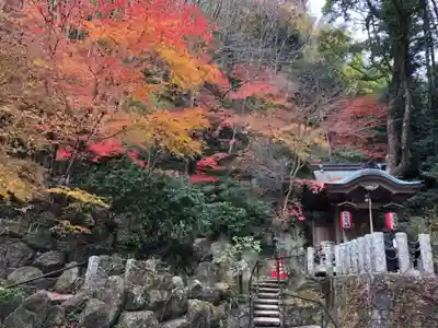 南蔵院(福岡県)