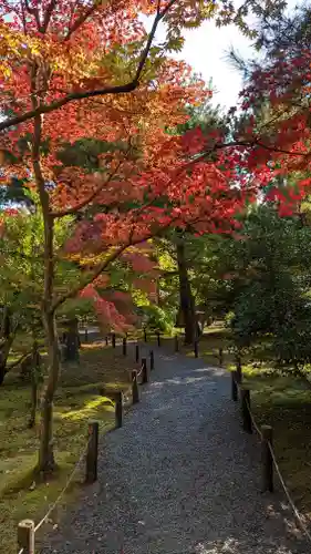 清凉寺(京都府)