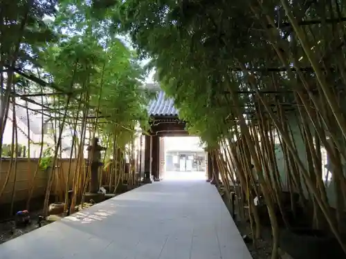 梅窓院の山門・神門