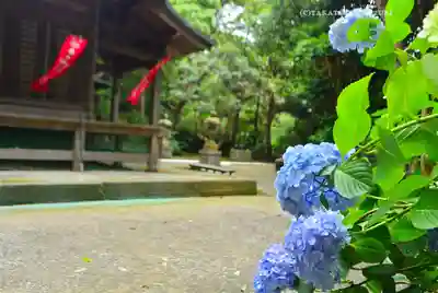 岩殿寺(神奈川県)